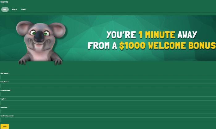 Screenshot of Fair Go Casino registration form showing field entries for email, username, and password.